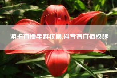 游拍直播手游权限,抖音有直播权限