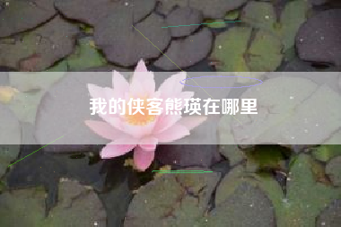 我的侠客熊瑛在哪里