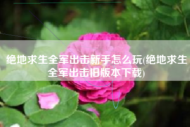 绝地求生全军出击新手怎么玩(绝地求生全军出击旧版本下载)