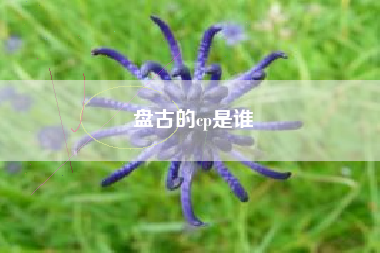 盘古的cp是谁