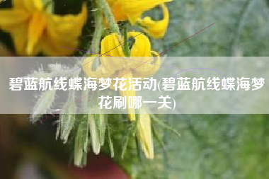 碧蓝航线蝶海梦花活动(碧蓝航线蝶海梦花刷哪一关)