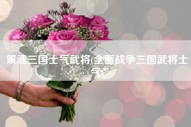 策魂三国士气武将(全面战争三国武将士气)
