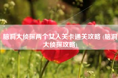 脑洞大侦探两个女人关卡通关攻略 (脑洞大侦探攻略)