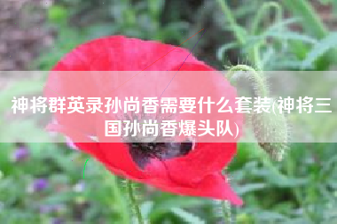 神将群英录孙尚香需要什么套装(神将三国孙尚香爆头队)