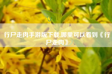 行尸走肉手游版下载,哪里可以看到《行尸走肉》