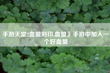 手游天堂2血盟刻印,血盟》手游中加入一个好血盟