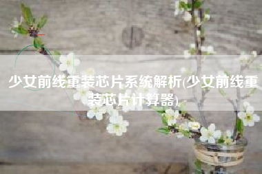 少女前线重装芯片系统解析(少女前线重装芯片计算器)