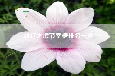 绯红之境节奏榜排名一览