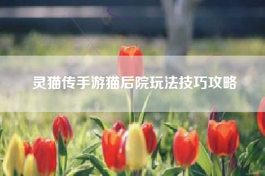 灵猫传手游猫后院玩法技巧攻略