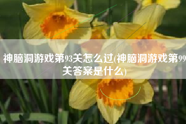 神脑洞游戏第93关怎么过(神脑洞游戏第99关答案是什么)