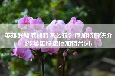 英雄联盟厄加特怎么玩？厄加特玩法介绍(英雄联盟厄加特台词)