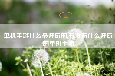 单机手游什么最好玩的,有没有什么好玩的单机手游
