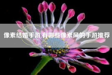 像素结婚手游,有哪些像素风的手游推荐