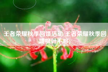 王者荣耀秋季回馈活动(王者荣耀秋季回馈枫叶不够)