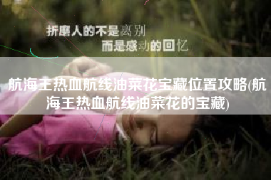 航海王热血航线油菜花宝藏位置攻略(航海王热血航线油菜花的宝藏)