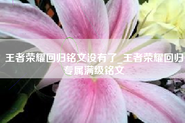 王者荣耀回归铭文没有了_王者荣耀回归专属满级铭文