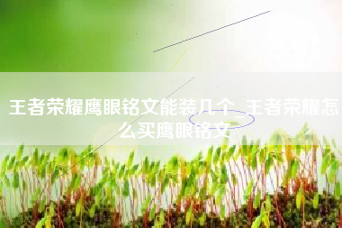 王者荣耀鹰眼铭文能装几个_王者荣耀怎么买鹰眼铭文