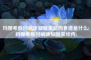玛娜希斯回响浓郁酸菜烩肉食谱是什么(玛娜希斯回响浓郁酸菜绘肉)