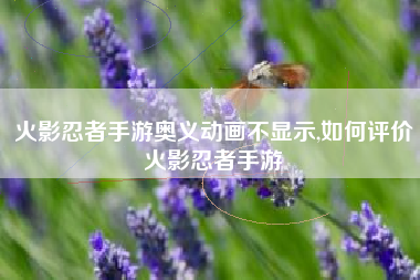 火影忍者手游奥义动画不显示,如何评价火影忍者手游