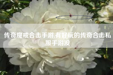 传奇魔戒合击手游,有好玩的传奇合击私服手游没