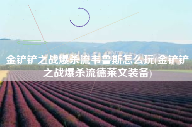 金铲铲之战爆杀流韦鲁斯怎么玩(金铲铲之战爆杀流德莱文装备)