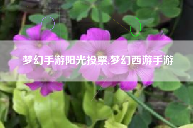 梦幻手游阳光投票,梦幻西游手游