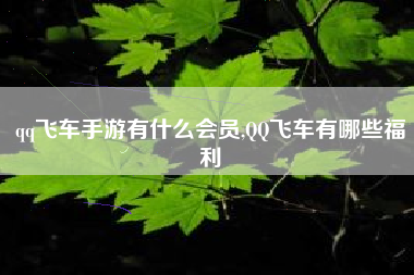 qq飞车手游有什么会员,QQ飞车有哪些福利