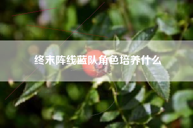 终末阵线蓝队角色培养什么