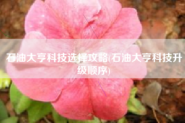 石油大亨科技选择攻略(石油大亨科技升级顺序)
