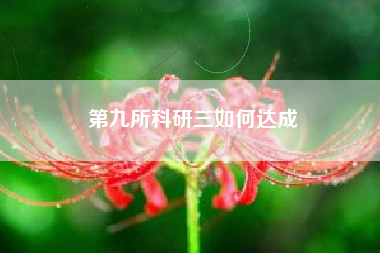 第九所科研三如何达成