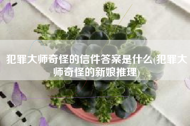 犯罪大师奇怪的信件答案是什么(犯罪大师奇怪的新娘推理)