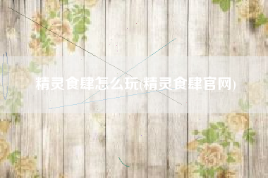 精灵食肆怎么玩(精灵食肆官网)