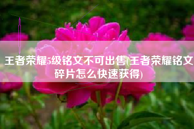 王者荣耀5级铭文不可出售(王者荣耀铭文碎片怎么快速获得)