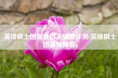 英雄棋士团赏金猎人强度评测(英雄棋士团最强阵容)