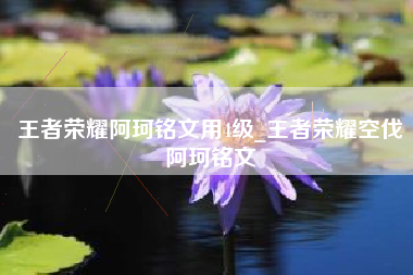 王者荣耀阿珂铭文用4级_王者荣耀空伐阿珂铭文