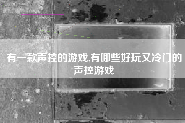 有一款声控的游戏,有哪些好玩又冷门的声控游戏