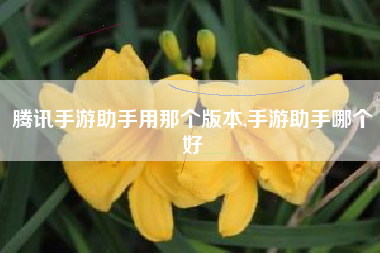 腾讯手游助手用那个版本,手游助手哪个好
