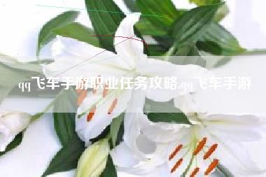 qq飞车手游职业任务攻略,qq飞车手游