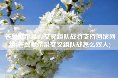 苍翼默示录：交叉组队战将支持回滚网络(苍翼默示录交叉组队战怎么双人)