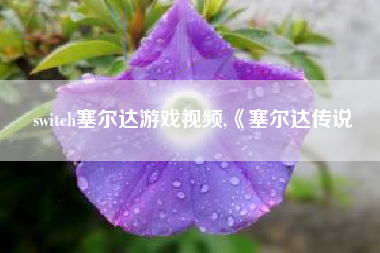 switch塞尔达游戏视频,《塞尔达传说