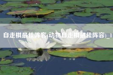 自走棋最佳阵容(动物自走棋最佳阵容)_1