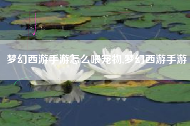 梦幻西游手游怎么喂宠物,梦幻西游手游