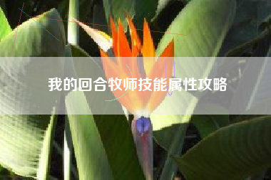 我的回合牧师技能属性攻略