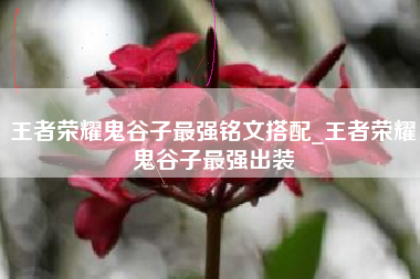 王者荣耀鬼谷子最强铭文搭配_王者荣耀鬼谷子最强出装