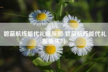 碧蓝航线能代礼服原图(碧蓝航线能代礼服要买吗)