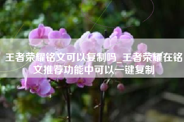 王者荣耀铭文可以复制吗_王者荣耀在铭文推荐功能中可以一键复制