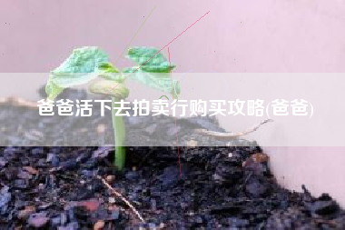 爸爸活下去拍卖行购买攻略(爸爸)