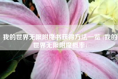 我的世界无限附魔书获得方法一览 (我的世界无限附魔概率)