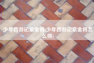 少年西游记紫金将(少年西游记紫金将怎么得)