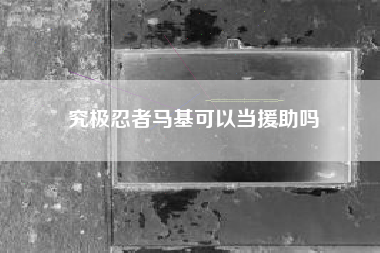 究极忍者马基可以当援助吗